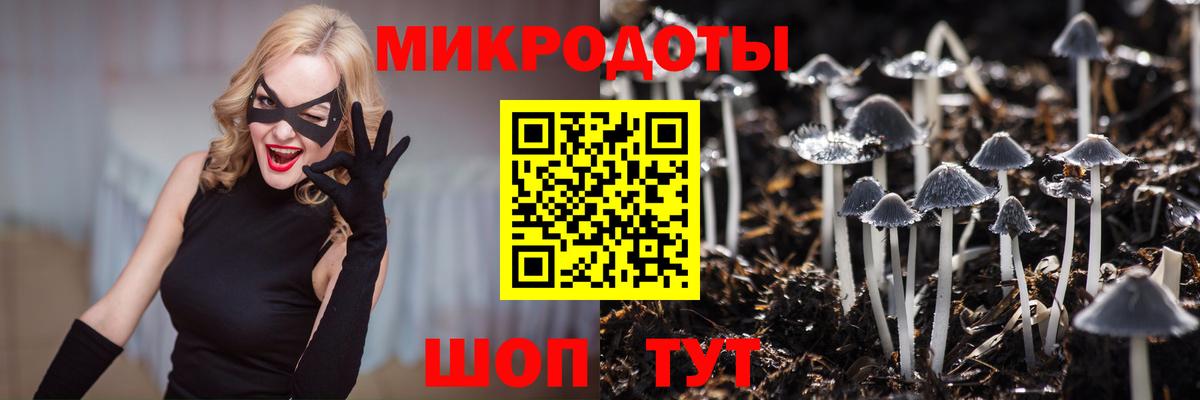 Галлюциногенные грибы прущие грибы  Вход с VPN  Пугачёв  Псилоцибиновые грибы мухоморы 