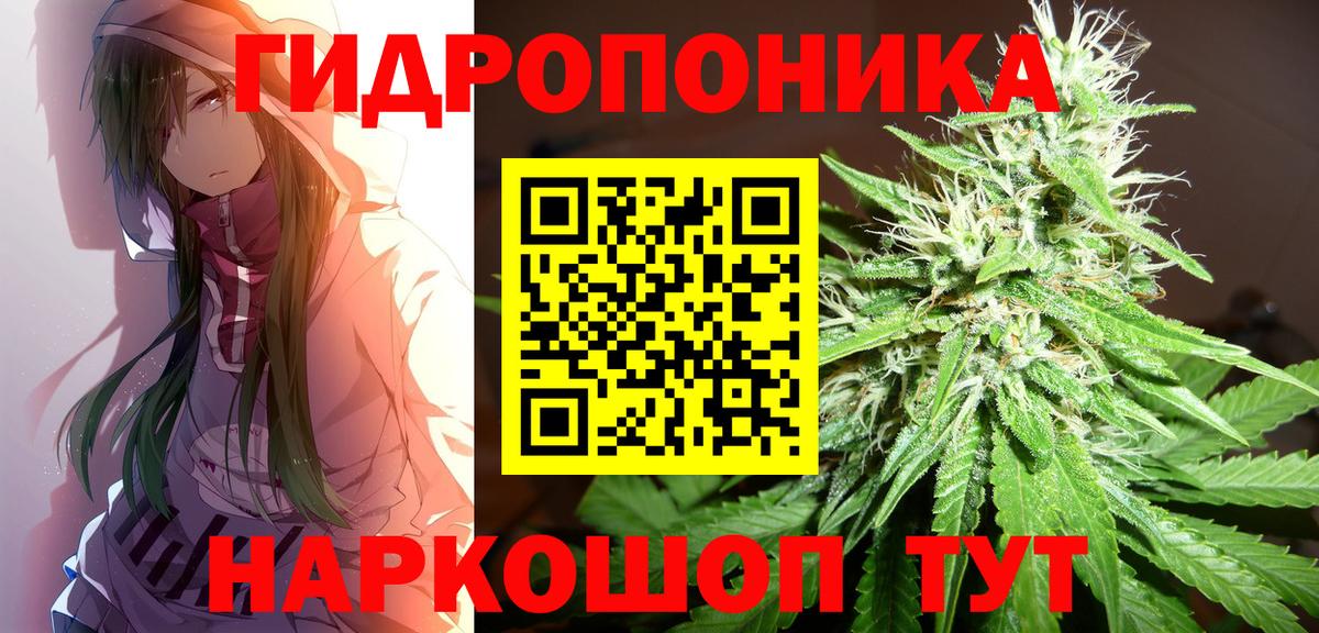 Конопля AK-47 Пугачёв
